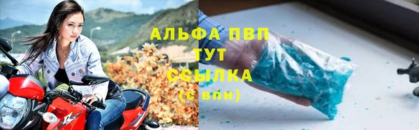 индика Верея