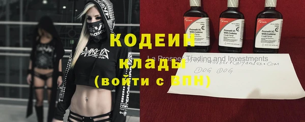 индика Верея