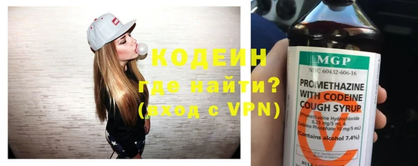 индика Верея