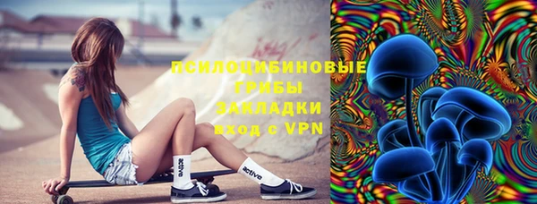 индика Верея