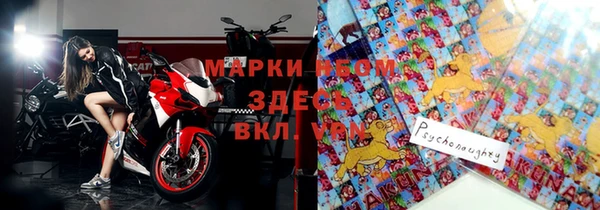 индика Верея