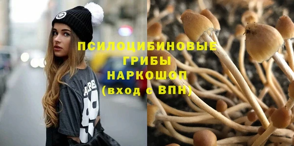 индика Верея