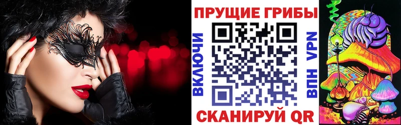 Псилоцибиновые грибы Psilocybine cubensis  Купить закладки  Лаишево 